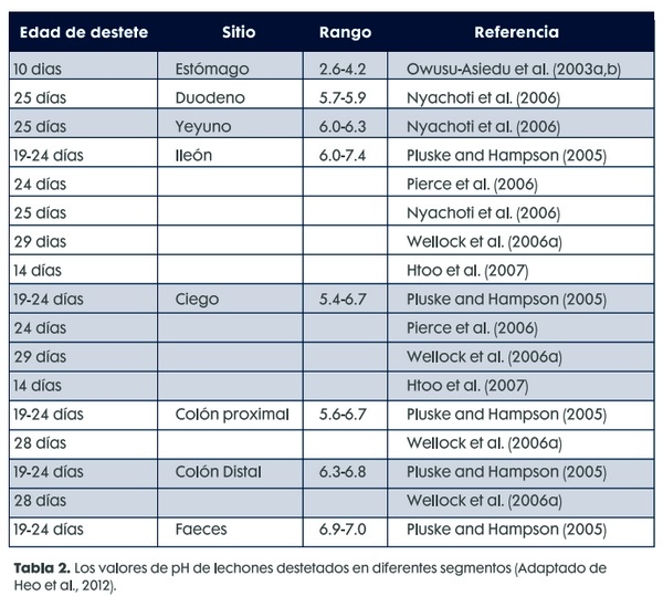¿Cómo la suplementación del agua con ácidos orgánicos mejora el desempeño de lechones destetados? - Image 3