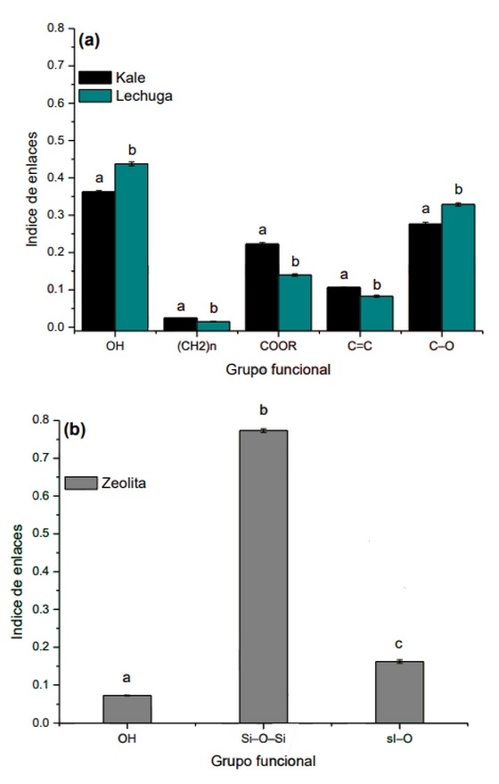 Potencial de los residuos de kale y lechuga como adsorbentes de aflatoxina b1 en un modelo dinámico que simula las condiciones del tracto gastrointestinal de las aves - Image 1