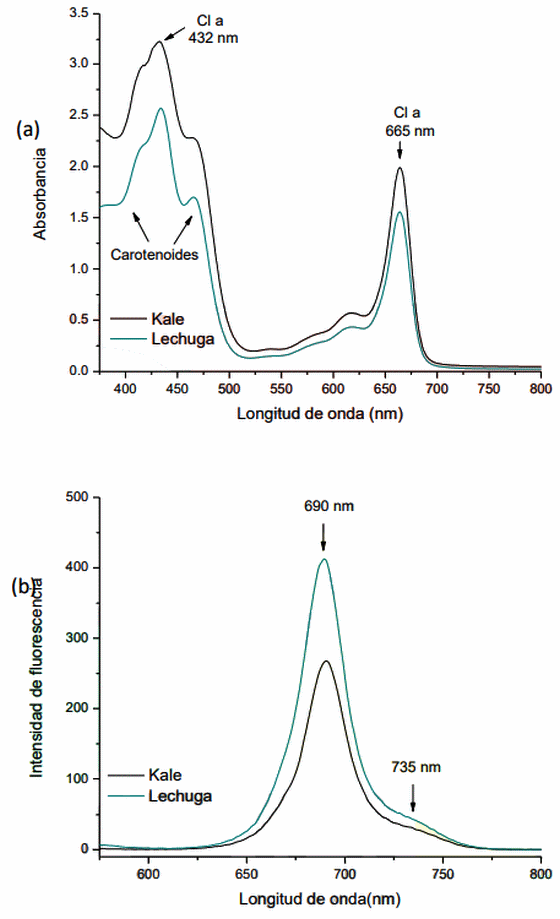 Potencial de los residuos de kale y lechuga como adsorbentes de aflatoxina b1 en un modelo dinámico que simula las condiciones del tracto gastrointestinal de las aves - Image 2