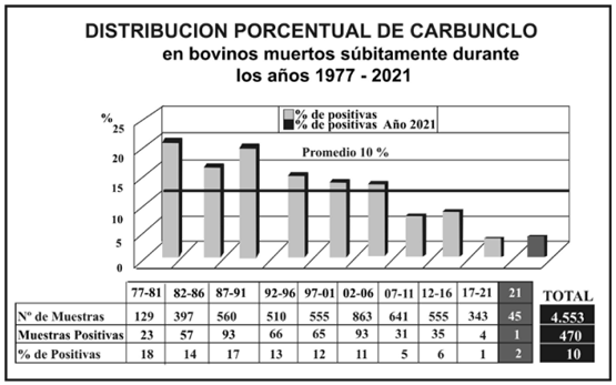 GRAFICO N°1