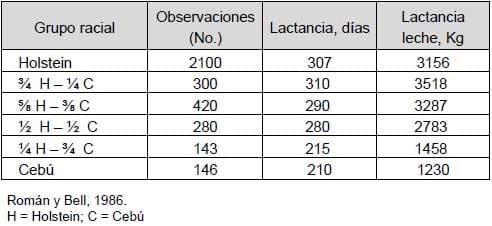 Razas y mejoramiento génetico de bovinos doble propósito - Image 27