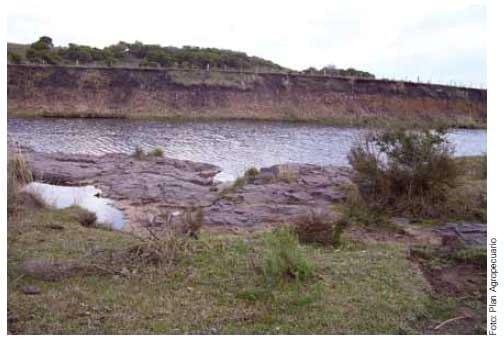 Uso del Agua en establecimientos agropecuarios. Sistema de abrevadero (Parte I) ¿Cuánta agua toma una vaca? - Image 4