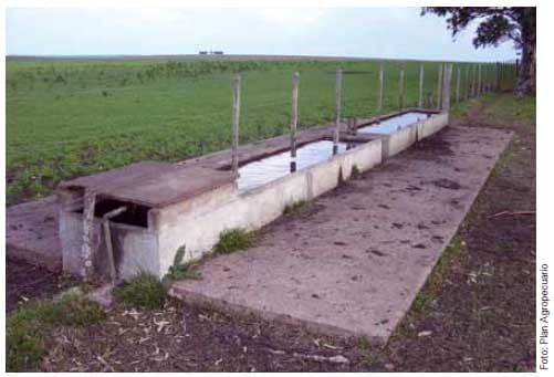 Uso del Agua en establecimientos agropecuarios. Sistema de abrevadero (Parte I) ¿Cuánta agua toma una vaca? - Image 5