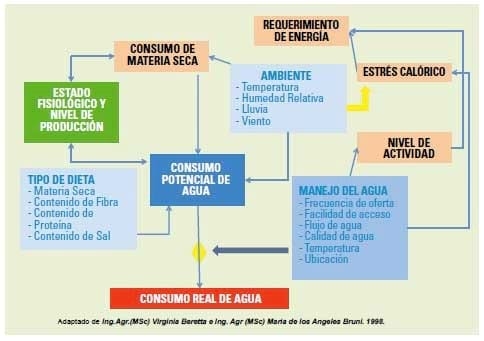 Uso del Agua en establecimientos agropecuarios. Sistema de abrevadero (Parte I) ¿Cuánta agua toma una vaca? - Image 1