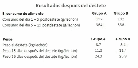 Alimentación al destete: ¿alargar el lactoiniciador o adelantar el prestarter? - Image 2