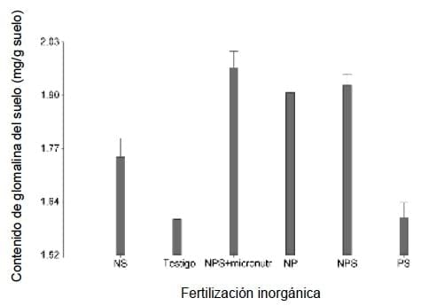 La glomalina y su relación con la productividad del cultivo de maíz - Image 2