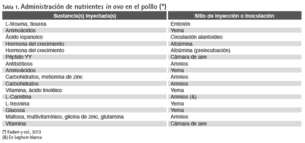 Alimentación in ovo en embriones de pollo - Image 1