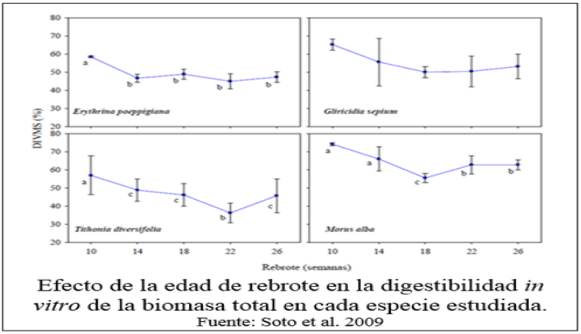 FIGURA 4. 