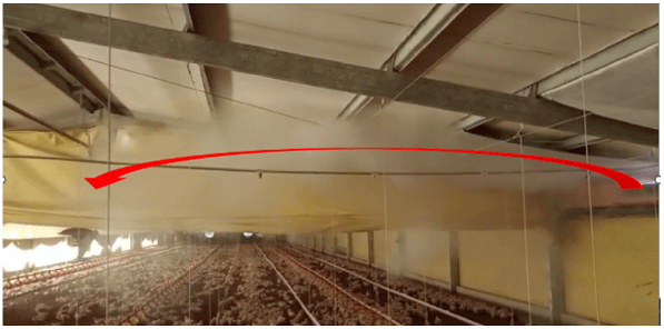 Termografía y prueba de humo