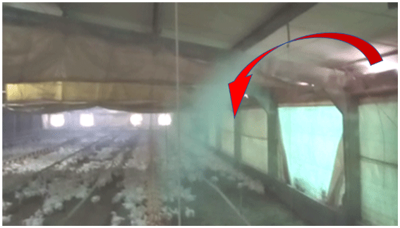 Termografía y prueba de humo