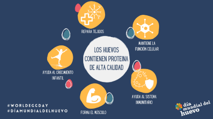  2. El huevo tiene todos los nutrientes en armonía 