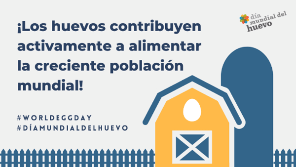 El huevo, no hay otro igual por 7 razones