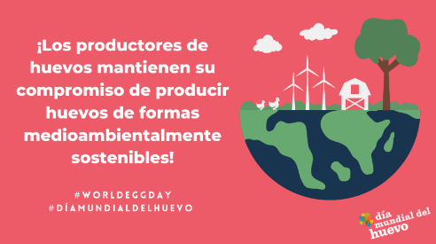 7. Sostenibilidad 
