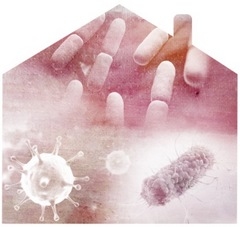 ¿Cuáles son las funciones del intestino? - Image 2