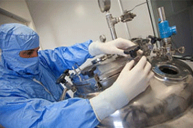 Biocamp: diferenciales en su cadena productiva