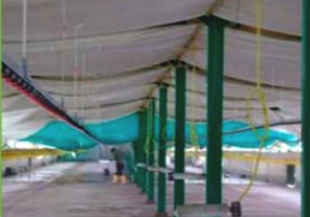 Estrategias para implementar las buenas prácticas de bioseguridad en granjas de producción de aves de postura - Image 3