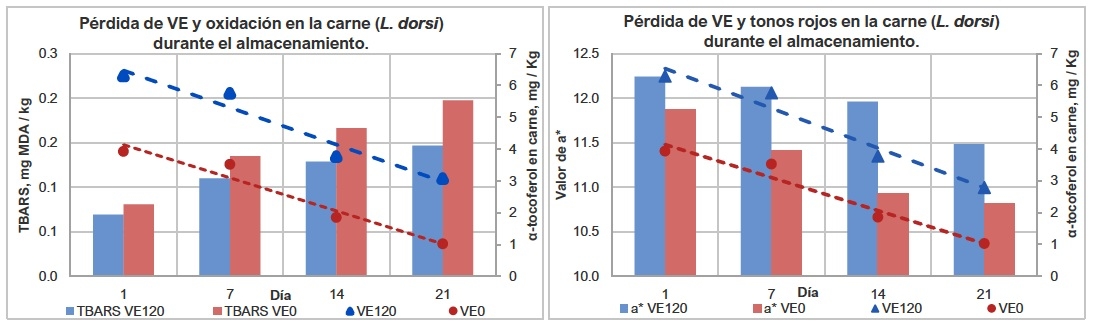 Vitamina E en la protección de la calidad de carne de cerdo: oxidación y color - Image 1