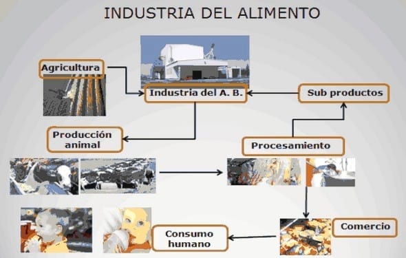 Gestión en Plantas de Alimentos Balanceados – Procesos de Fabricación - Image 1