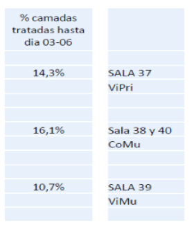 PRUEBA DE CAMPO CON VITALSAFE PARA EL CONTROL DE DIARREAS NEONATALES EN LECHONES DE PRIMERIZAS - Image 8