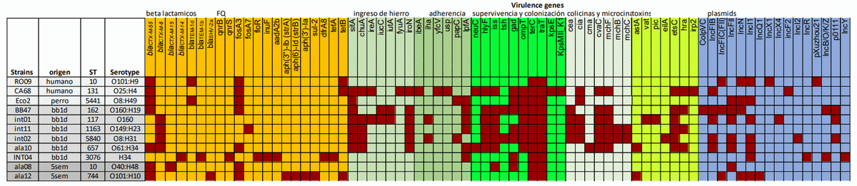 Seguimiento de microorganismos resistentes a antibióticos de importancia crítica de alta prioridad en el sistema productivo avícola en el marco de “Una Salud” - Image 3