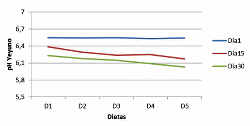La adición de Enterococcus faecium aumenta la respuesta inmune intestinal en cerdos en crecimiento - Image 16