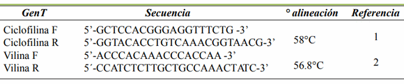 Expresión molecular de la vilina en yeyuno de lechones posdestete que consumieron LPS de E. coli - Image 1