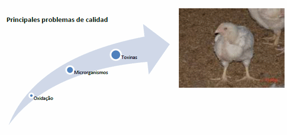 Calidad de las matérias primas en la elaboración de raciones: Bases para el exito - Image 3
