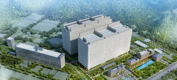 Marranas y lechones en maternidad. Nuevas tecnologías para el 2023. - Image 1