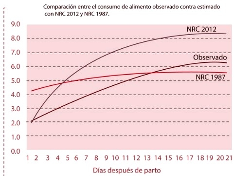 Marranas y lechones en maternidad. Nuevas tecnologías para el 2023. - Image 5