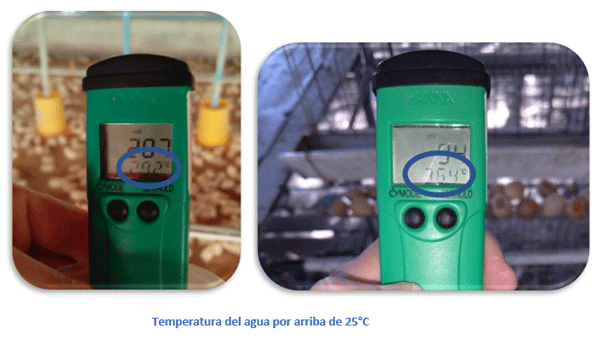  		Temperatura del agua por arriba de 25°C