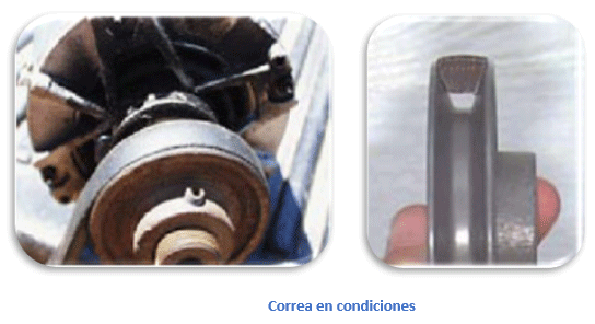  				Correa en condiciones