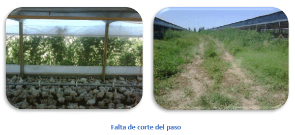 Falta de corte del paso