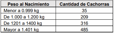 Impacto del peso al nacimiento de las cerdas y su permanencia dentro del plantel reproductor - Image 1