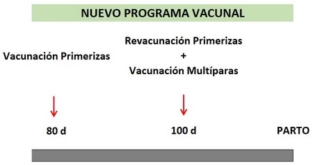 Diarreas neonatales en porcino. Control práctico - Image 4