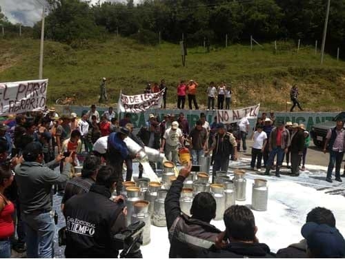 ¿Ruina en la Ganadería Colombiana? - Image 1