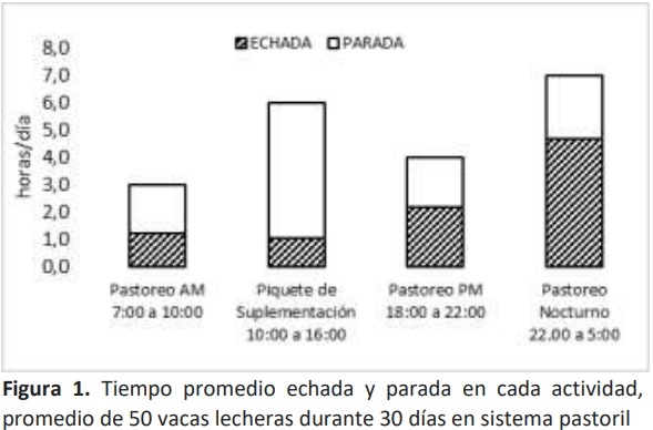 ¿Cuánto tiempo descansan las vacas lecheras en un tambo pastoril de Santa Fe, Argentina? - Image 1