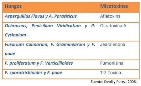 Efecto de las micotoxinas en alimentación porcina Métodos preventivos y de control en poscosecha - Image 2