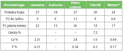 Las arbóreas Una alternativa nutricional en la producción animal - Image 12