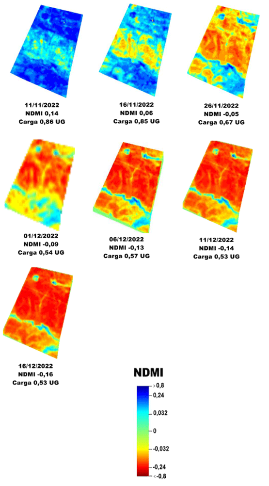 Evolución del NDVI y Carga en un campo ganadero sobre un Brunosol del noreste Cerro Pelado - Rivera (área 239 há)
