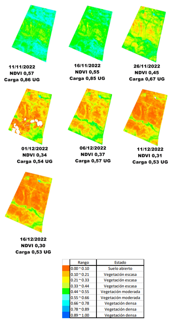 Evolución del NDVI y Carga en un campo ganadero sobre un Brunosol del noreste Cerro Pelado - Rivera (área 239 há)
