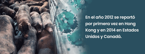 El deltacoronavirus (PDCoV) es un tipo de coronavirus de reciente descubrimiento como agente causal de la enfermedad gastrointestinal contagiosa del cerdo.