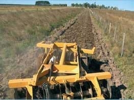 Quemas controladas en pastizales, una herramienta para el manejo de pastizales con fines productivos y conservacionistas - Image 21