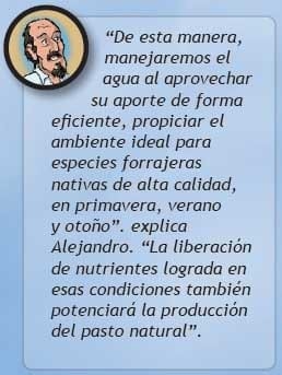 Manejo del agua superficial, una práctica eficiente para la retención y empleo del agua con fines productivos y conservacionistas en pastizales. - Image 22