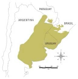 Protocolo Regional de Carne del Pastizal - Alianza del Pastizal - Image 1