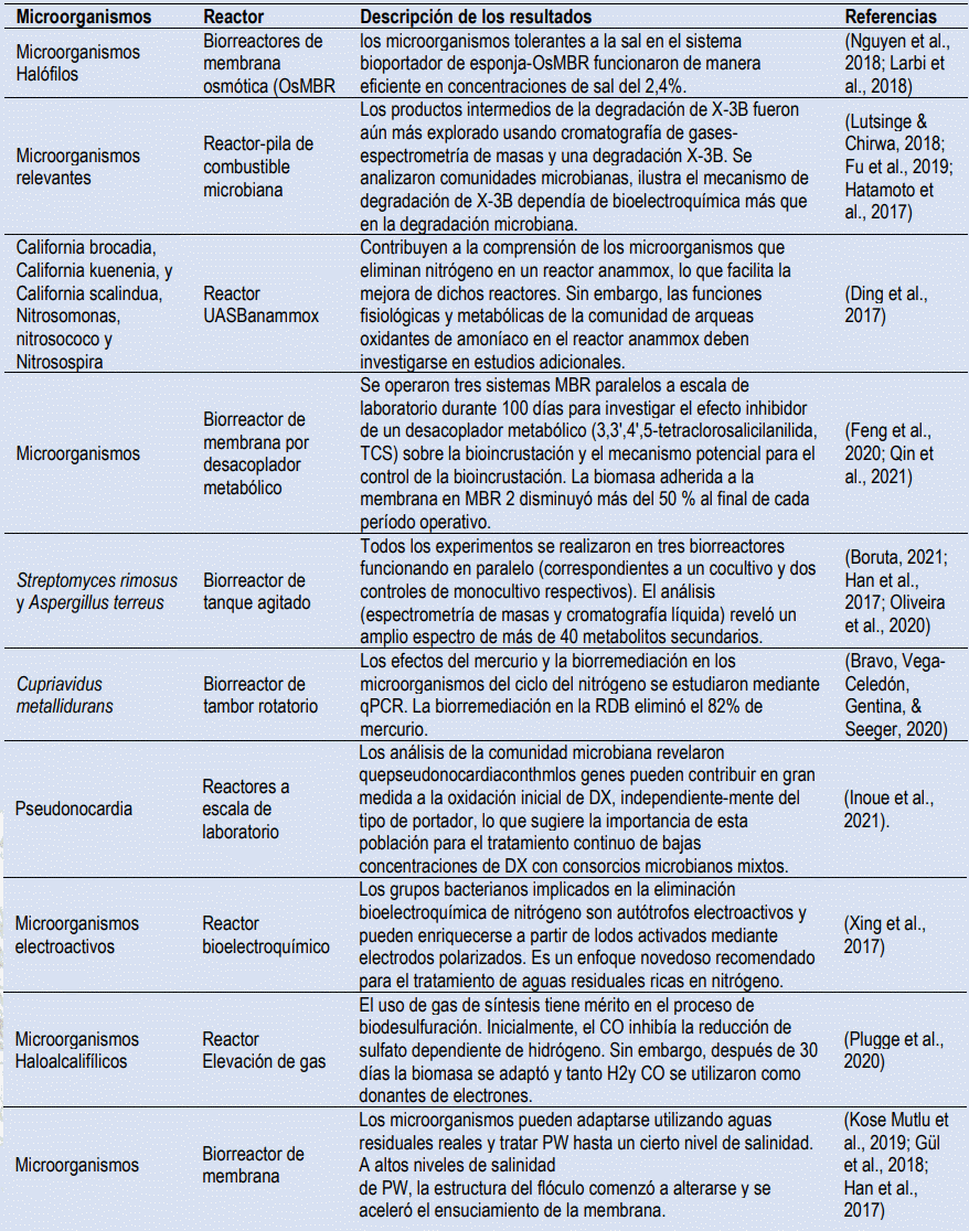 Biorreactores empleados para la biorremediación de aflatoxinas - Image 4