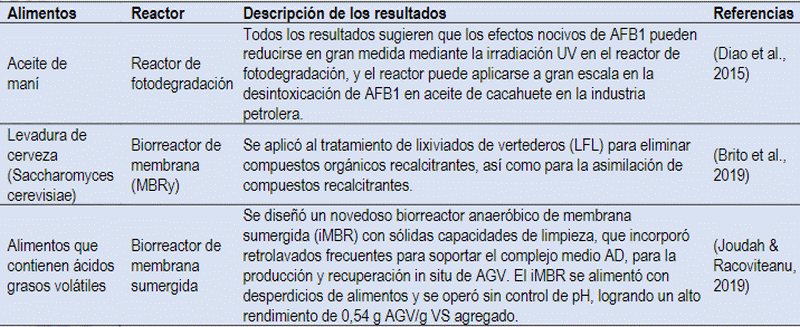Biorreactores empleados para la biorremediación de aflatoxinas - Image 2