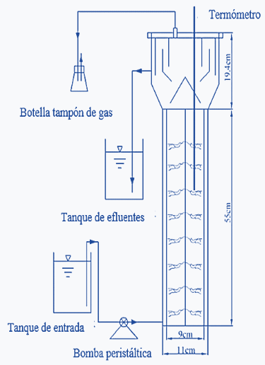 Biorreactores empleados para la biorremediación de aflatoxinas - Image 1