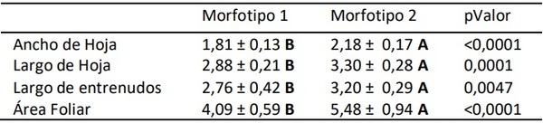 Caracterización de la variación morfotípica de Galactia texana en los Llanos de La Rioja - Image 2