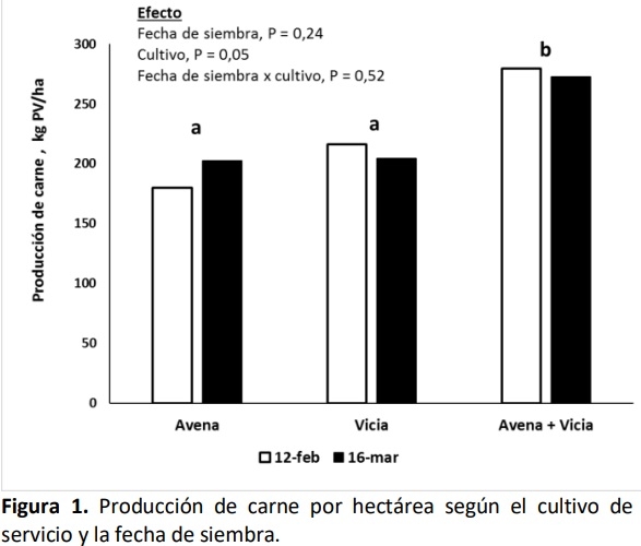Producción de carne en cultivos de servicio según la fecha de siembra y especies. Comunicación - Image 2