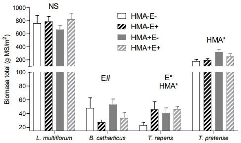 Figura 2. Biomasa total (g/m2), dos cortes de biomasa aérea y biomasa subterránea, de cada especie de la mezcla. Símbolos sobre las barras indican diferencias significativas (* P< 0,05) o tendencia (# P< 0,1).